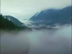 Voyah-freies SUV-Elektroauto