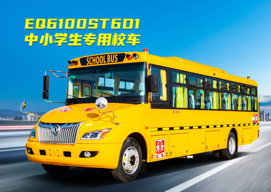 Dongfeng ICE Schulbus mit 24-56 Sitzplätzen